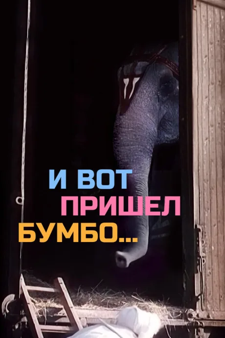 И вот пришел Бумбо…