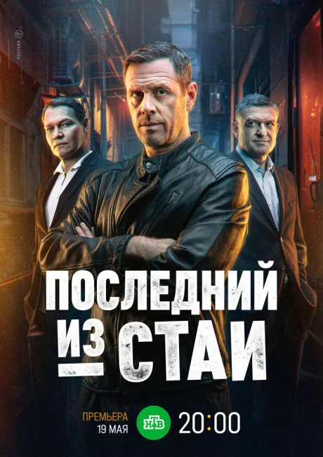 Последний из стаи
